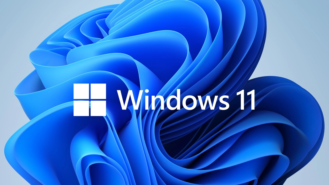 Windows 11 y Google Discover.