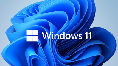 Windows 11 y Google Discover.