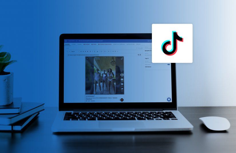 <p>Soporte para&nbsp;TikTok</p>