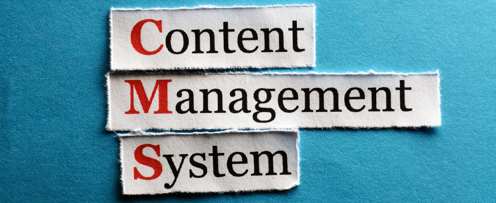 cms para diarios digitales